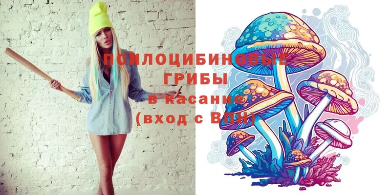 Псилоцибиновые грибы Cubensis  где продают наркотики  Кстово 